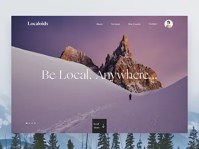 Localoids Landing branding design homepage interface responsive travel ui ux