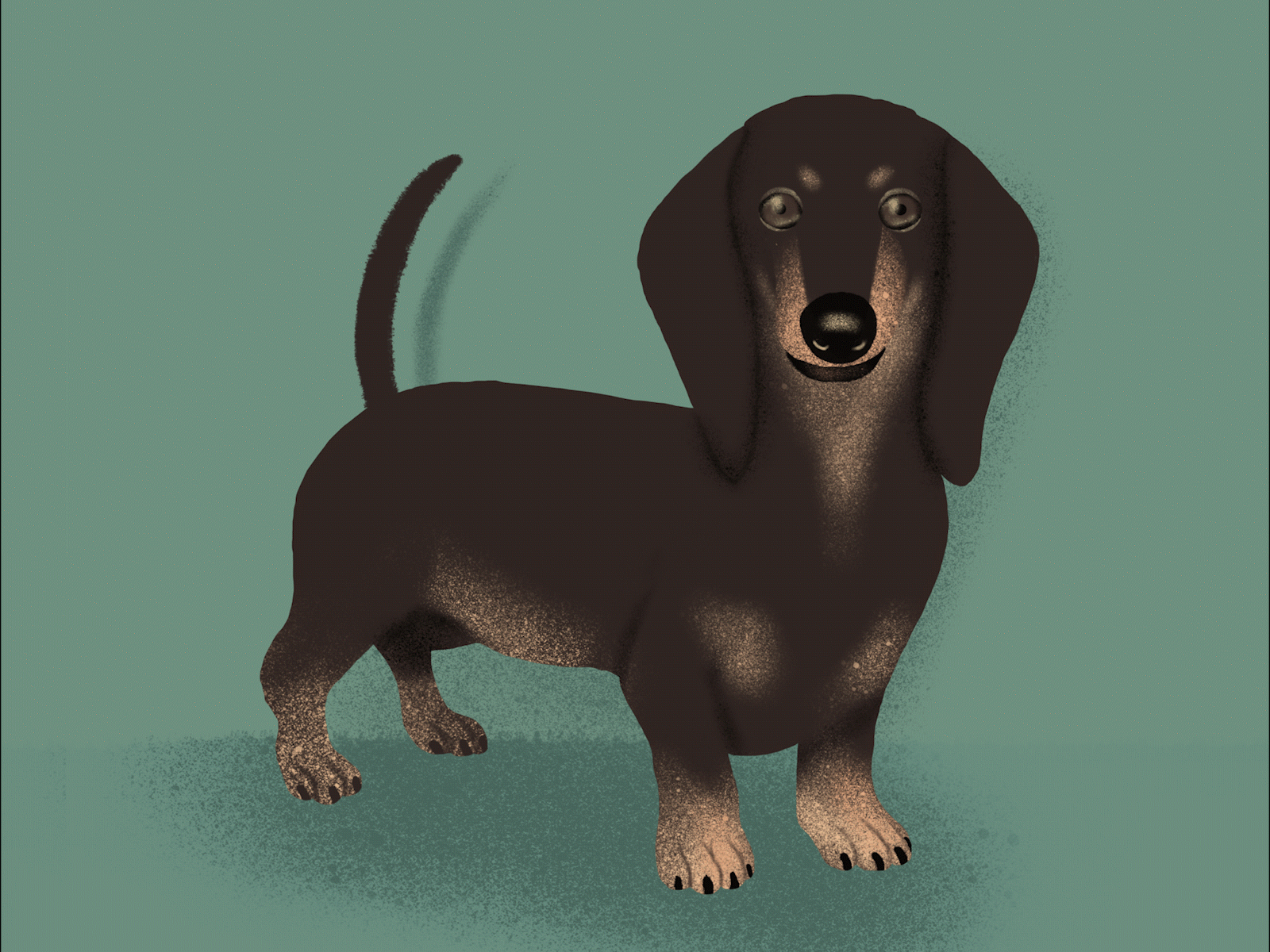 Fred animal animated gif animation daschund dog gif motion motion design motion graphic motion graphics motiongraphics procreate