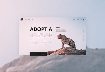 WWF - Adopt a Jaguar Concept animals colour concept design ecommerce gradient jaguar modern slider ui ui design uiux ux uxdesign webdesign