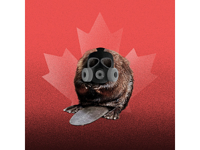 Canada's not as green as we think editorial illustration montage news