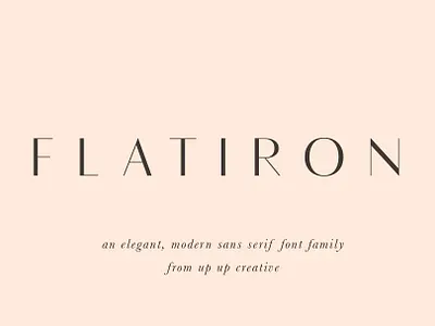 Flatiron Sans Font Family best fonts branding classic font design display font download fonts elegant font font font design font family fonts graphic design lettering logo font logotype sans serif sans serif font typeface typefaces typography