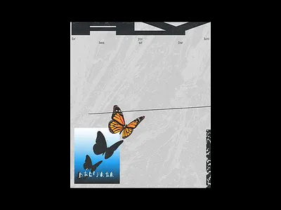 FLY butterfly poster poster art poster design texture