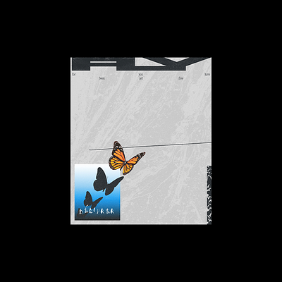 FLY butterfly poster poster art poster design texture