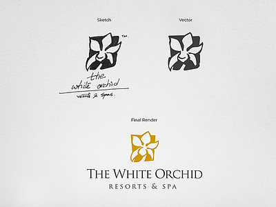 Concept sketches behindthescene branding exploration graphic identity india logo pencil shape sketch typography wip