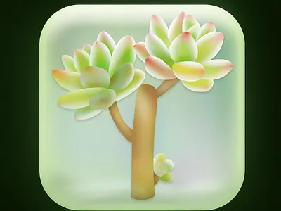 多肉图标的副本