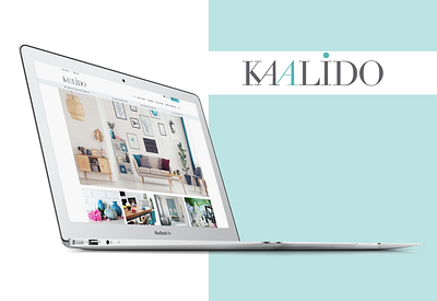 Kaalido design perfectorium ui ux web website