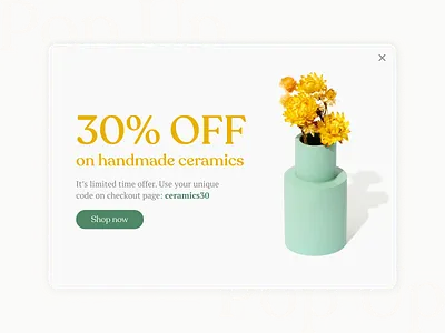Daily UI #016: Pop-up branding craft design ecommerce minimal popup typography ui ui design uichallenge ux ux design web