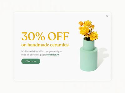 Daily UI #016: Pop-up branding craft design ecommerce minimal popup typography ui ui design uichallenge ux ux design web