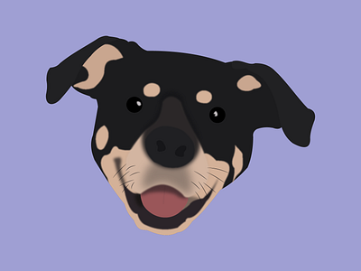 Alex animal design dog graphicdesign illustration pets vector