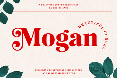 Mogan Font + Extras branding classic font design display font download font experimental font font font design fonts graphic design graphics lettering logo font playful font serif font serif fonts typeface typefaces typography vintage font