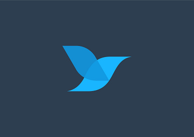 Simple Bird animation art design flat icon illustration illustrator logo minimal vector