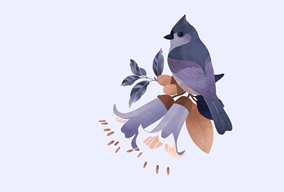 Crested Tit Illustration bird design flower illustration