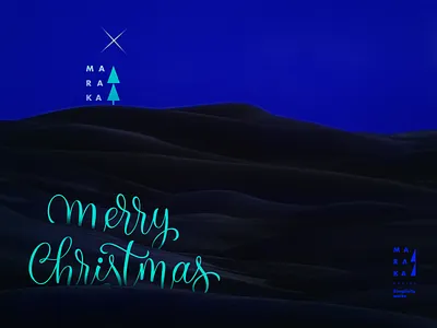 MR_2020 2020 marakas merry xmas merrychristmas mrks