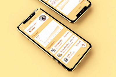 Pawlife dashboard app design uidesign