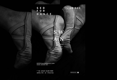 SWAN A WAY TO FLY art art direction artwork branding creative design dancers design layoutdesign logo music poster print swan