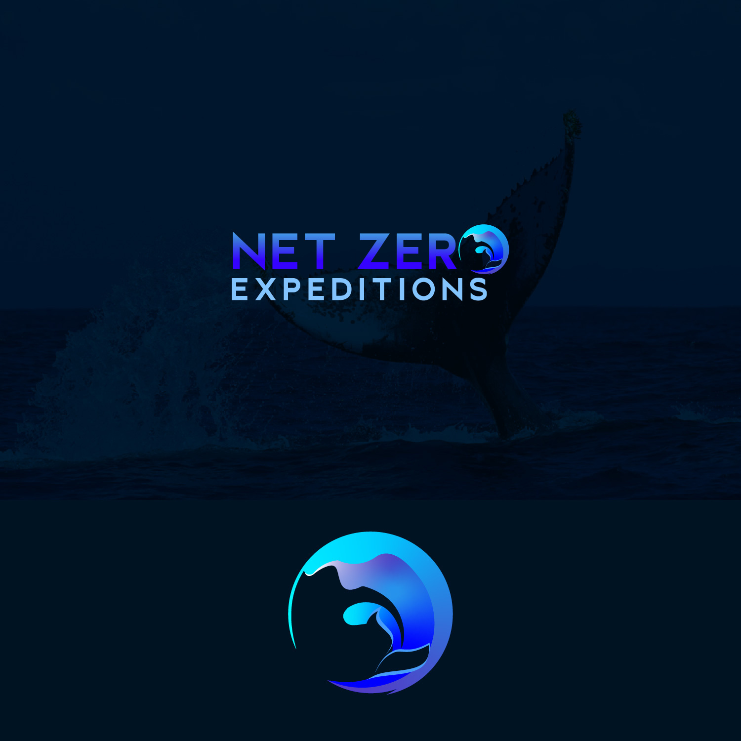 Example of Minimalist Timeless Business Logo Design