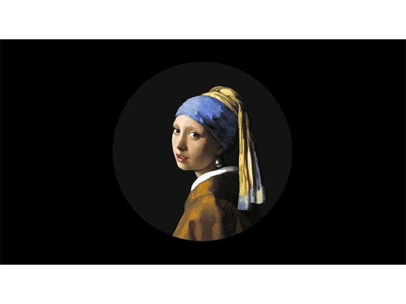 Het meisje met de parel gif spine