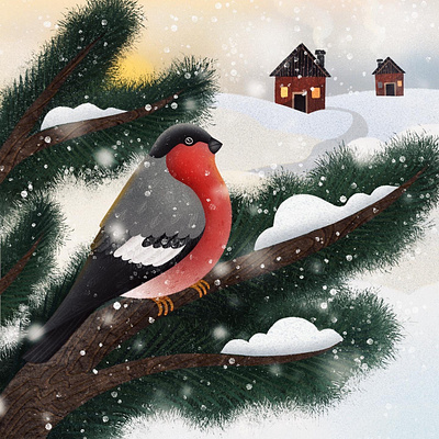 Bullfinch winter illustration for kids birb bird bullfinch child children children book illustration childrens illustration for kids illustraion illustration art israel israel illustrator