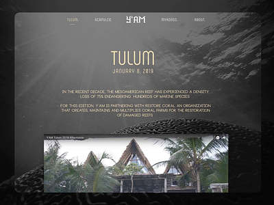 YAM Festival Website dark elegant festival landing page music tulum website website design