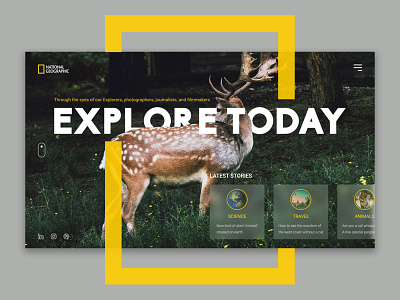 National Geographic Home Pgage adobe adobe photoshop adobexd animal branding design national geographic nature science typography ui ux web webdesign website design xd design