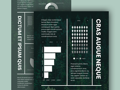 Minimalistic Infographic Template for Infogram chart data dataviz geometrical graphic design green infogram infographic infographic design minimal minimalistic photography prezi template web