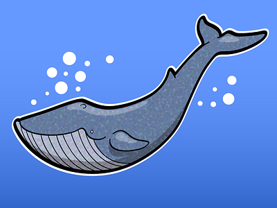 Freehand Whale adobe illustrator animals children book illustration childrens book childrens illustration freehand drawing kids kids illustration nature vector illustration whale