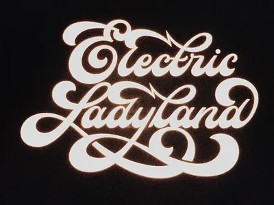 Electric Ladyland calligraphy electric hendrix ladyland lettering lightning logo logotype script type typography