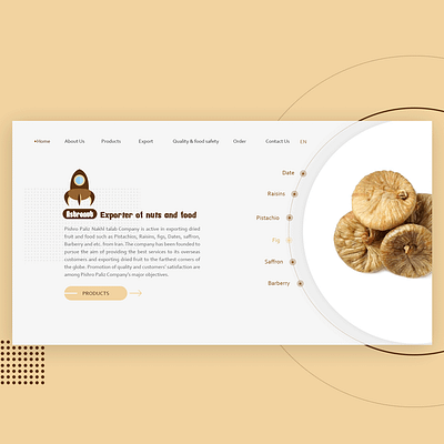 Nuts Web Design creative creative design design nuts typography ui ux web web design webdesign website