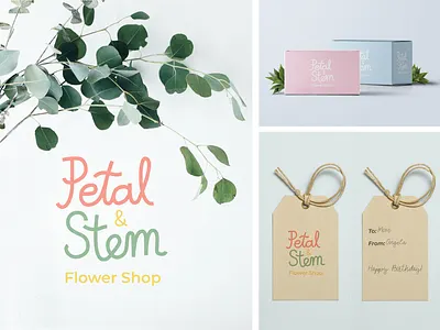 Petal & Stem Flower Shop Branding branding design digital art flower shop graphic design hand lettering handlettering logo packaging typography