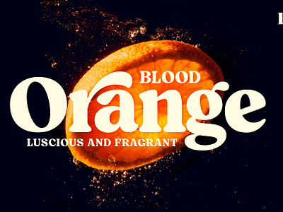 Blood Orange Vintage Serif