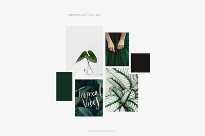 MOODBOARD VOL 05 brand identity branding design green identity inspiration moodboard tropical tropical flyer