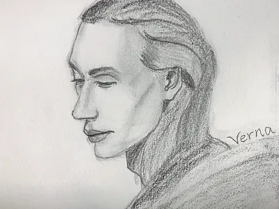 sketch