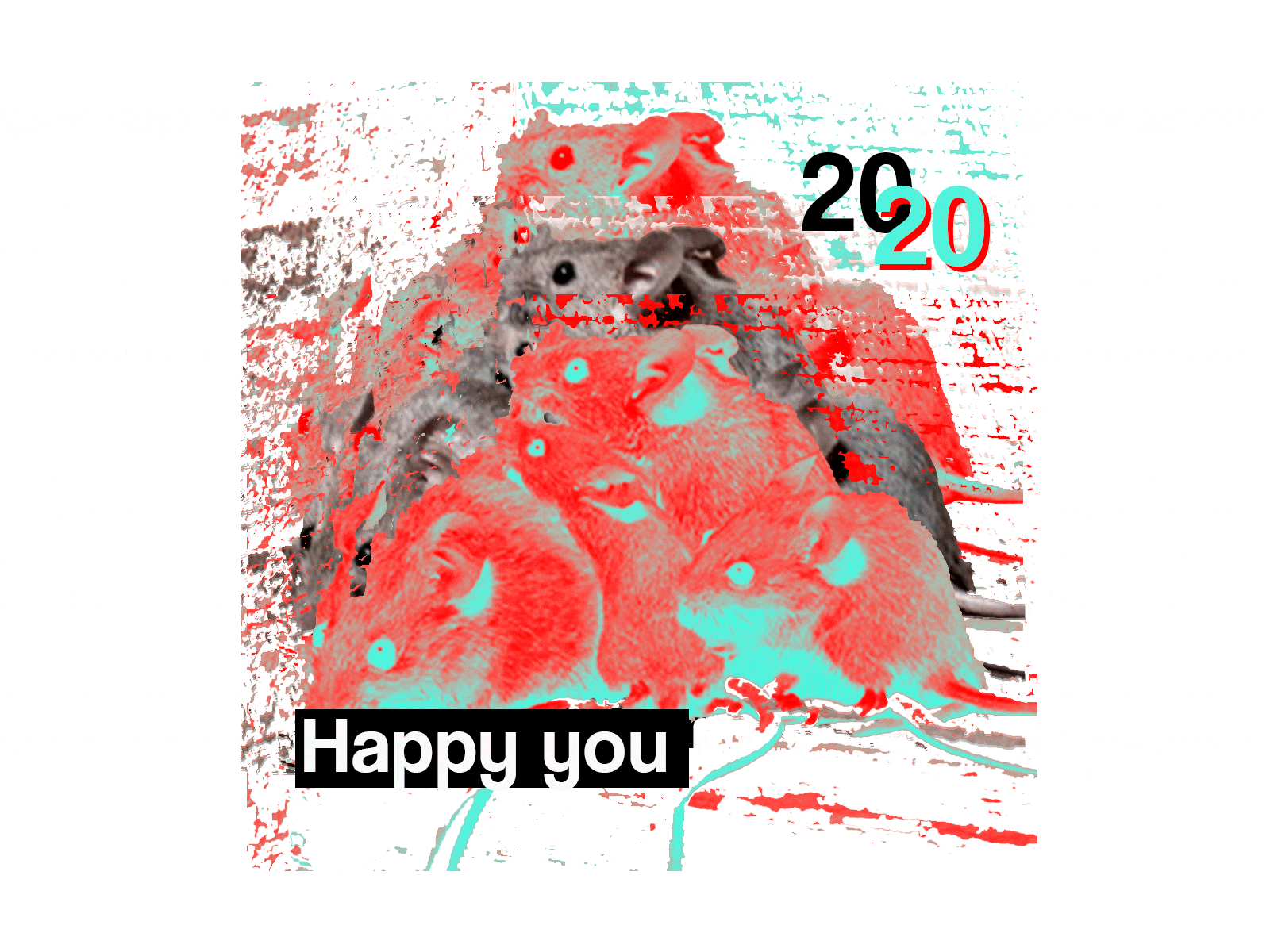 Happy_Dribbble_2020 animation branding design illustration