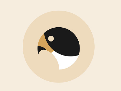 Falcon Illustration bird illustration circle logo falcon falcon icon falcon illustration falcon logo flat icon design illustration minimalist peregrine