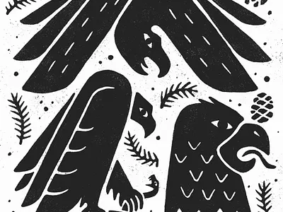 Birds of Prey bird bold doodle drawing eagles hawk illustration minimal pine pinecone wings