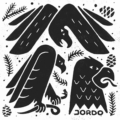 Birds of Prey bird bold doodle drawing eagles hawk illustration minimal pine pinecone wings