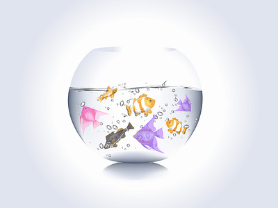 fish illustration adobe illustrator design fishes fishing graphicdesign illustraion illustration illustration art illustration design vector water