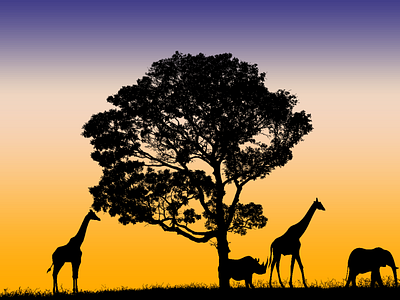 Silhoutte animals amazing animal creative silhoette sunset