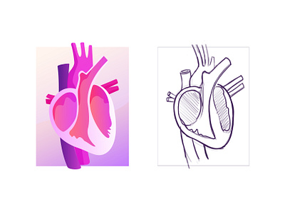 Anatomy icon anatomy design icon icons set illustration purple school subject ui vector web