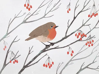 Winter robin animal drawing bird character children book children book illustration cute design digital illustration illustration