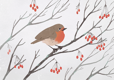Winter robin animal drawing bird character children book children book illustration cute design digital illustration illustration
