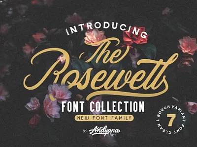 Rosewell Font Collection app branding design font logo minimal oldschool font retrofont script font type typography web