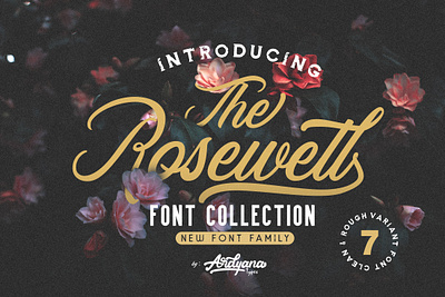 Rosewell Font Collection app branding design font logo minimal oldschool font retrofont script font type typography web