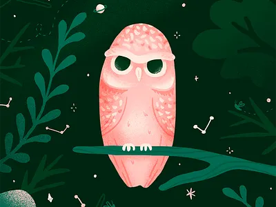 Hellowl constellation design designer designs draw illustration night owl owl illustration procreate procreateapp stars