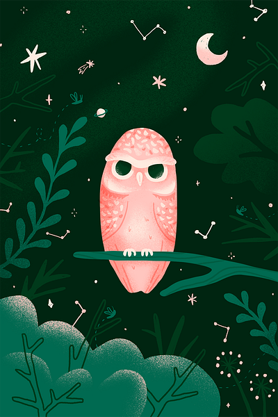 Hellowl constellation design designer designs draw illustration night owl owl illustration procreate procreateapp stars