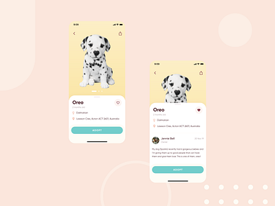 Adopting pets app in Australia animal app app design cat color design design app design art dog kangaroo love lovely pet sweet ui ui deisgn uidesign ux ux ui ux desgin