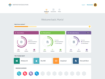 LMS Dashboard badges charts dashboard icons modules progress