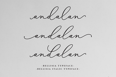 Bellisia Script alternates calligraphy elegant font fonts handwritten lettering logo modern signature typeface weddings