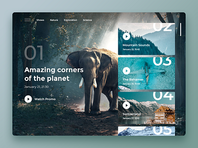 Nature Landing Page Concept concept elephant landing page ui landingpage natural nature ocean player sea video