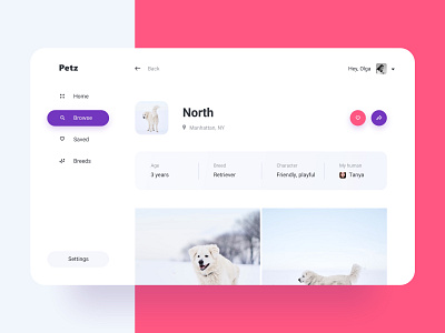 Daily UI 006 North's Profile app application challenge dailyui dailyui005 photos product design profile profile page sn social socialnetwork ui webapp